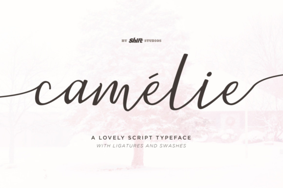 Discover the Charm of Camelie: A Handwritten Font for Special Occasions