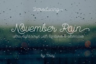 November Rain: A Versatile Script Font for Creative Projects
